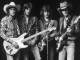 Playback personnalisé Buzz Buzz a Diddle It - Matchbox