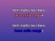 Joy to the World - Karaoke personalizzato - Casting Crowns