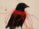 A Lack of Color - Backing Track Guitare - Death Cab For Cutie