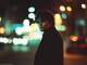 Playback personnalisé It Ain't Necessarily So - Jamie Cullum