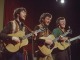 Goodnight Irene base personalizzata - The Irish Rovers