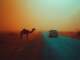 Backing Tracks Basse - Partir loin - 113 - Version sans Basse