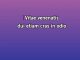 Blind Faith - Custom Karaoke - Chase & Status