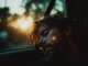 Playback MP3 I Woke Up in a Car - Karaoké MP3 Instrumental rendu célèbre par Something Corporate