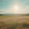In a Big Country