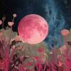 Pink Moon