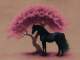 Playback personnalisé Black Horse And The Cherry Tree - KT Tunstall