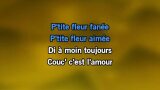 Video Karaoke P'tite fleur aimée - Alain Ramanisum - Karaoke Canzoni