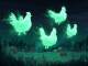 Ghost Chickens in the Sky (live) - Gitarren Backing Track - Leroy Troy